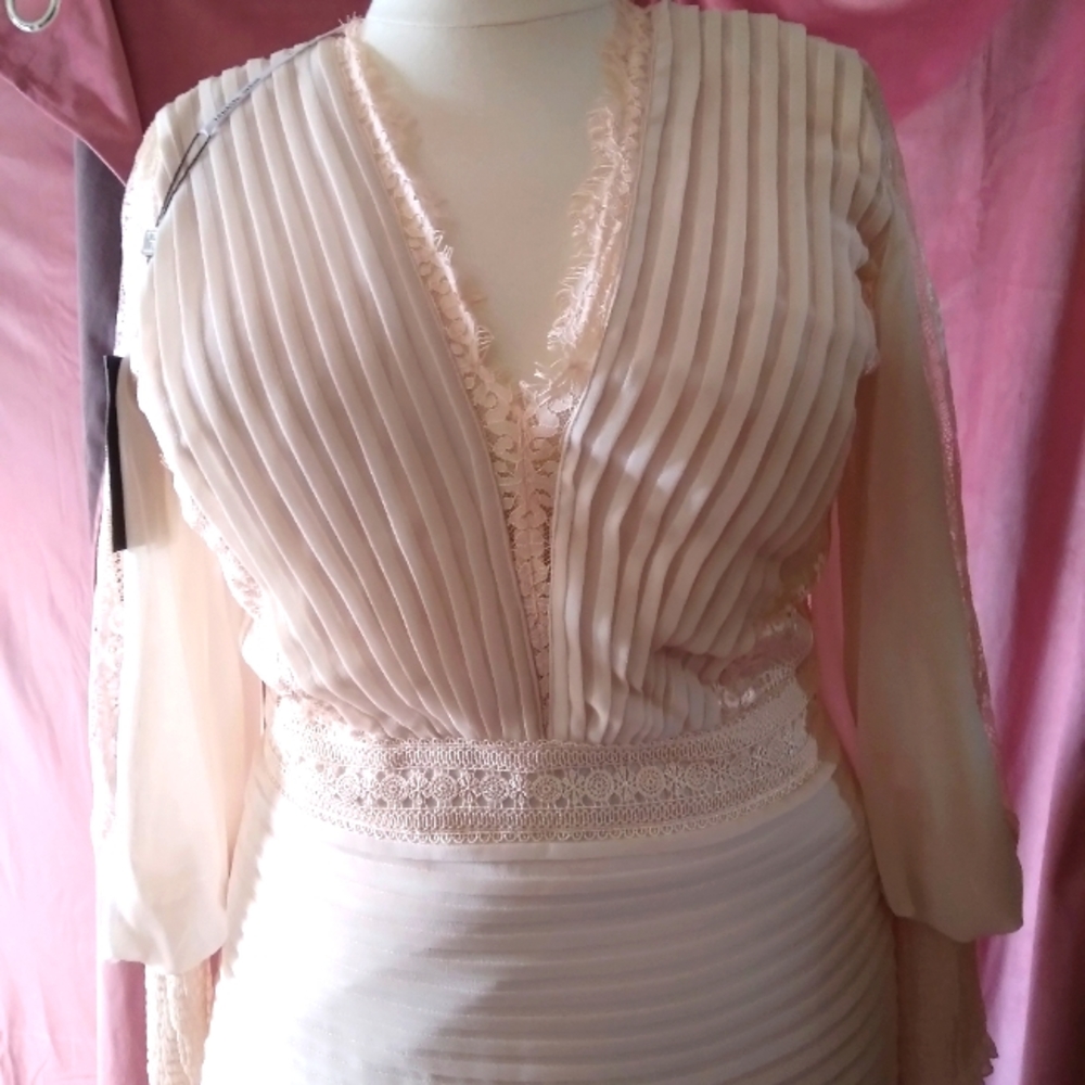 Tadashi Shoji Petal Pink NWT LONG Dress